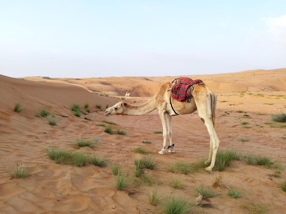 Sands Dream Tourism Camp Shāhiq エクステリア 写真