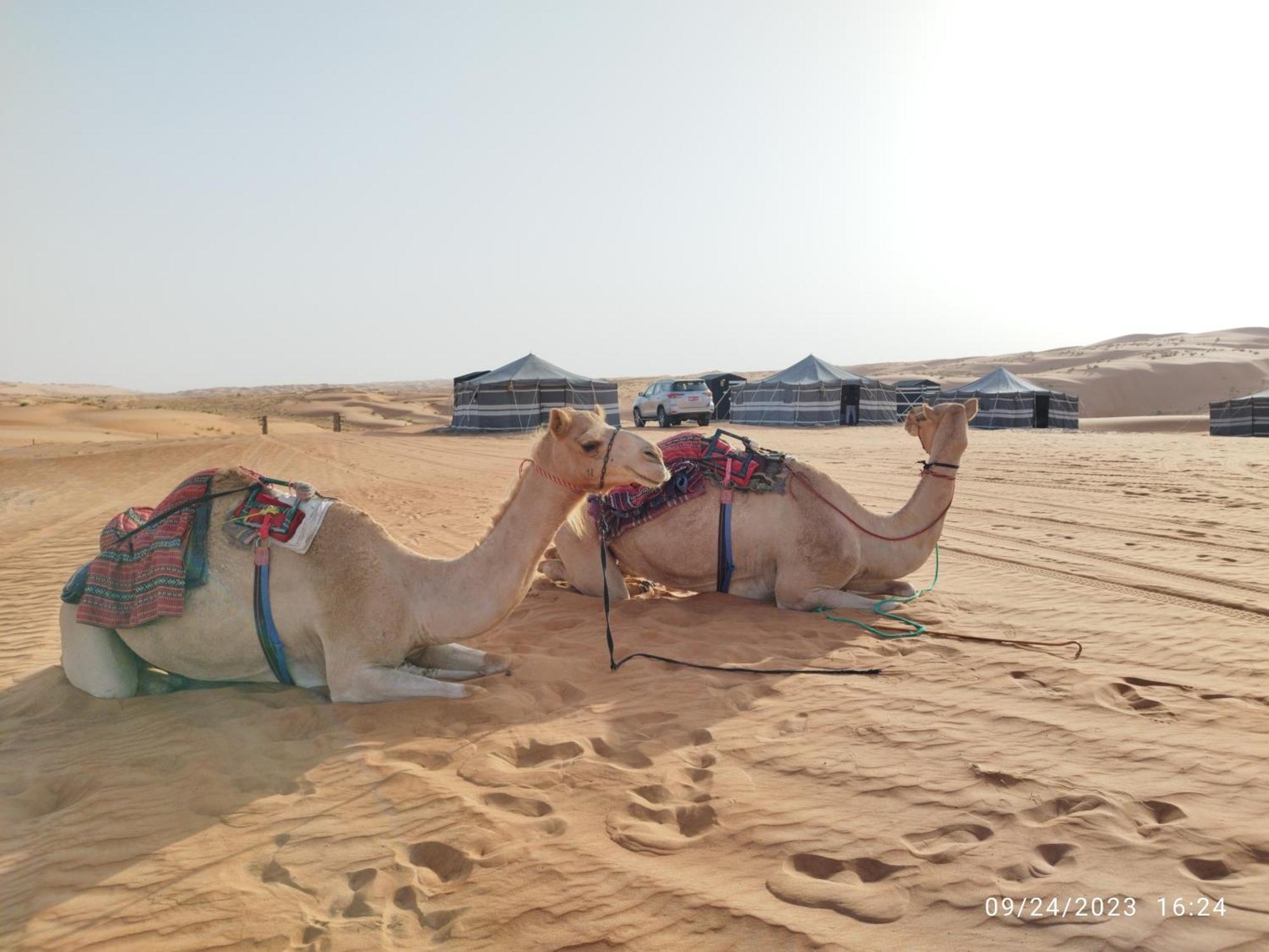 Sands Dream Tourism Camp Shāhiq エクステリア 写真